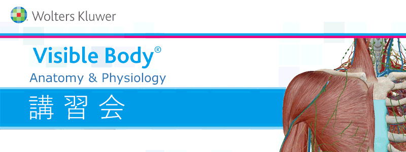 Visible Body® Anatomy & Physiology 講習会